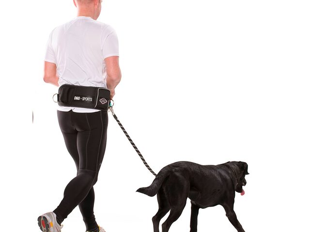 D&D Sports Active Walker Hond 110cm Groot Zwart