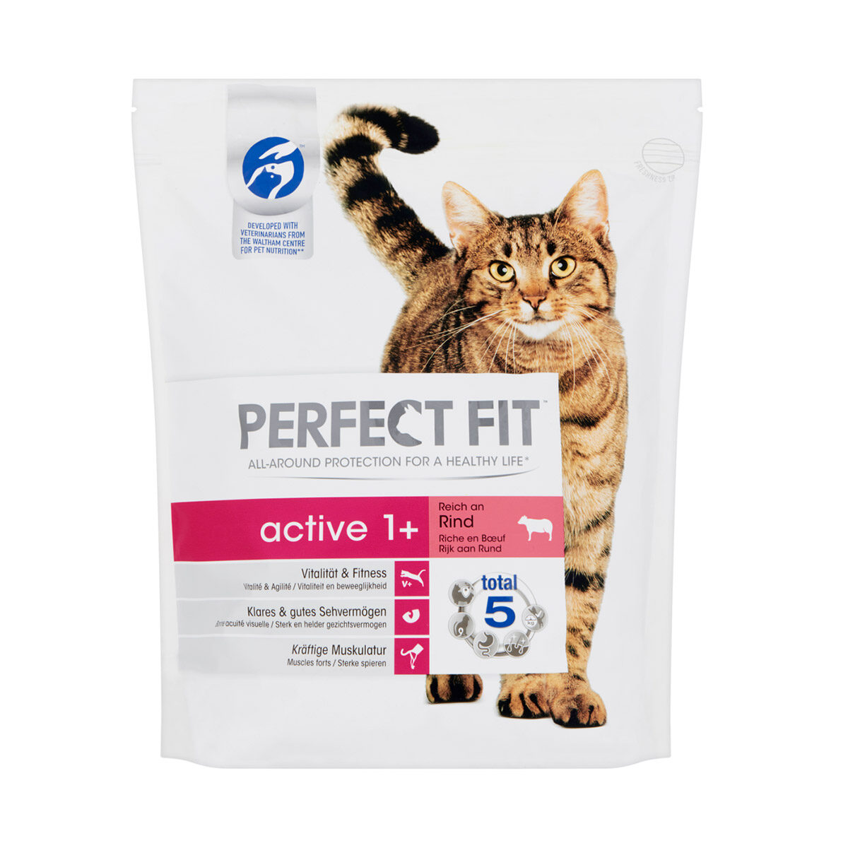 teller Disciplinair isolatie Perfect Fit Droog Active Rund Kattenvoer 1,4 kg
