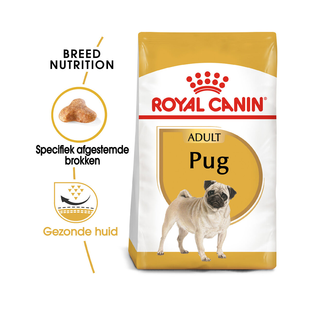 Tulpen Hoopvol importeren Royal Canin BHN Pug Adult 3 kg