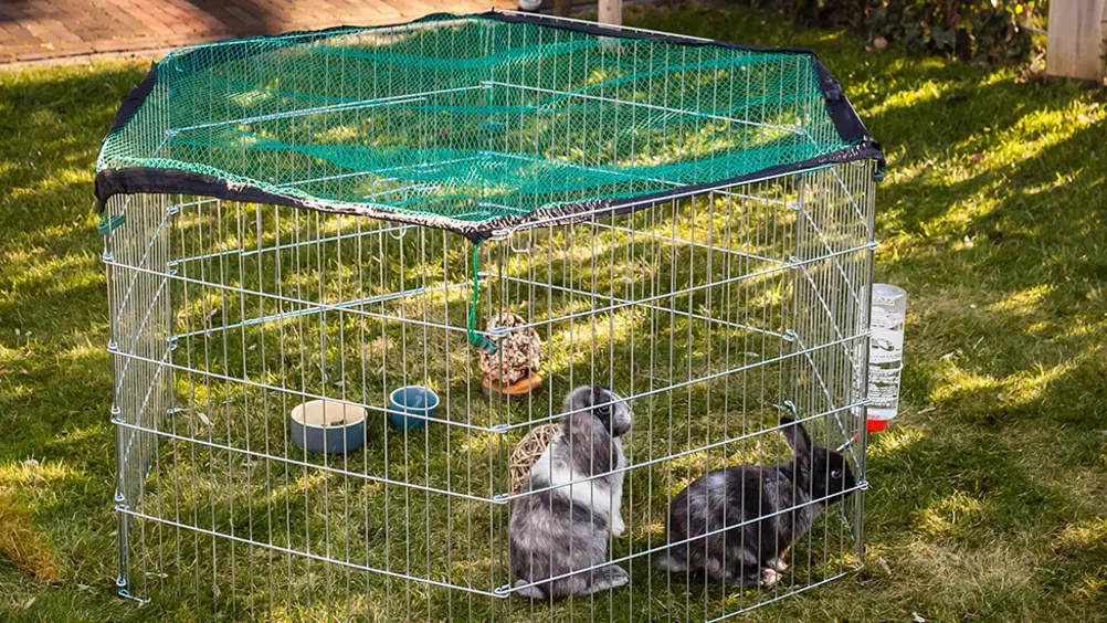 Konijnenren gebruiken? tips voor konijnenren buiten